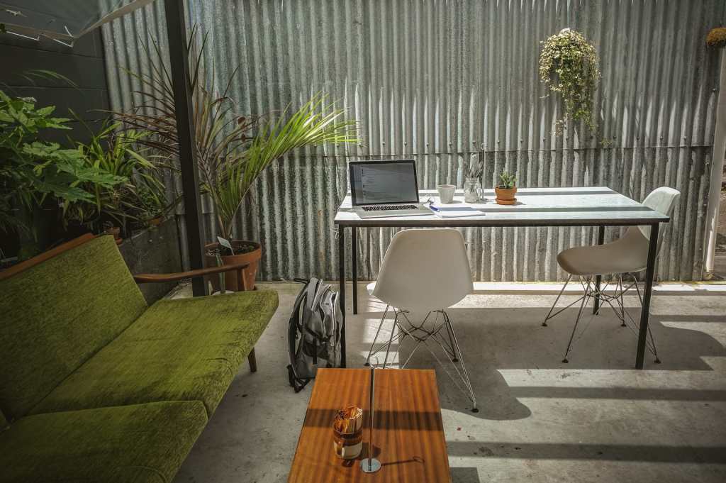 green workspace office plants