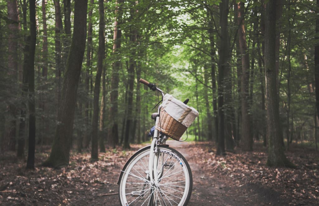 vintage bike parked in forest