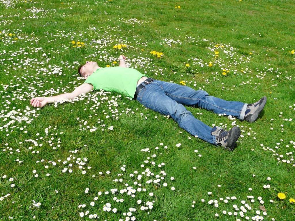 man relaxing on grass with flowers