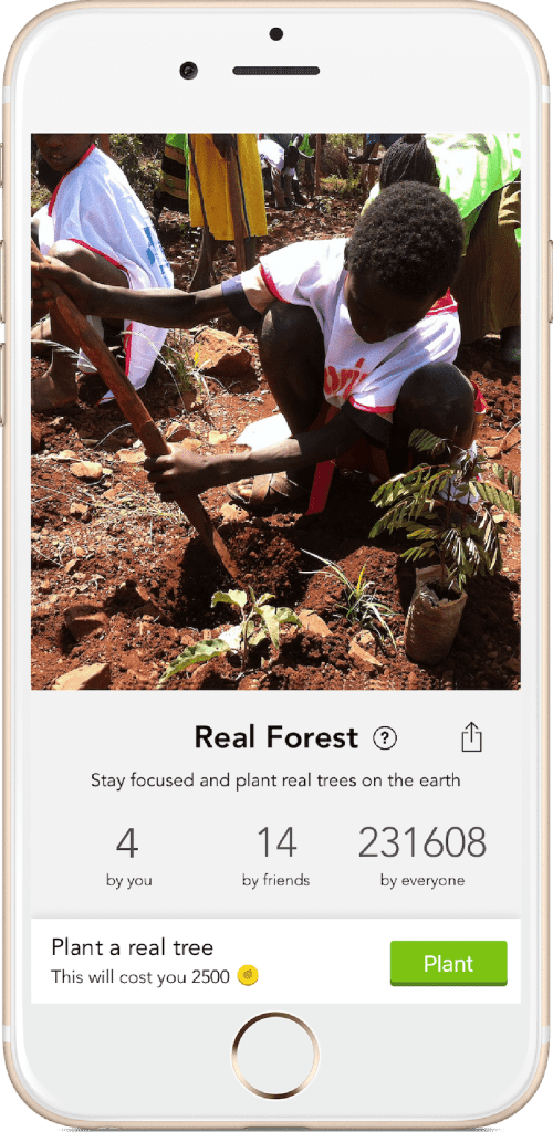 Forest app for students plant real trees